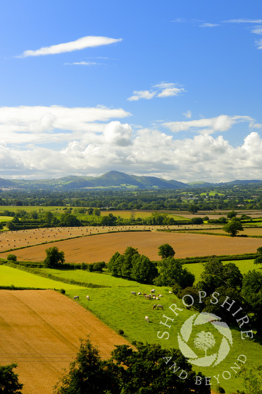 The Stretton Hills seen from Lyth Hill, near Shrewsbury, Shropshire.