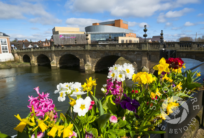 Spring flowers near Welsh Bridge and Theatre Severn, Shrewsbury, Shropshire.