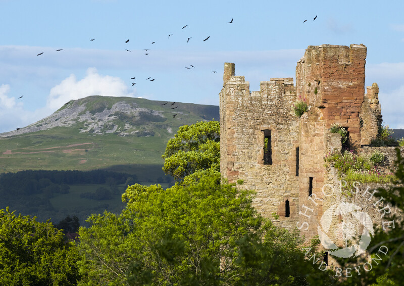 Ludlow Castle and Titterstone Clee, Shropshire.