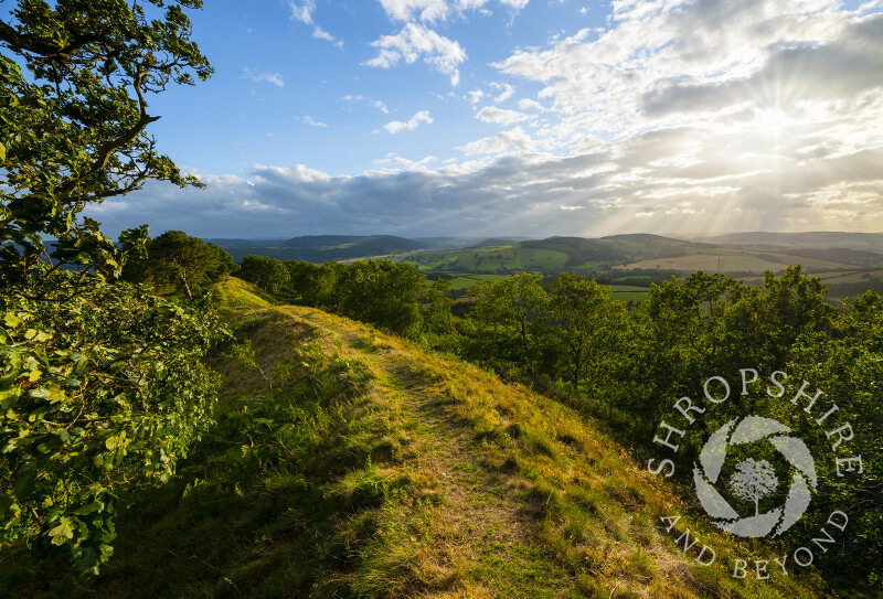 Evening light on Burrow Hill Iron Age hill fort, near Craven Arms, Shropshire.