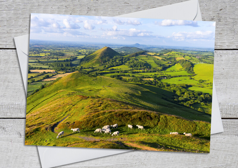 Sheep grazing on Caer Caradoc, near Church Stretton, Shropshire.