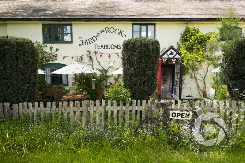 Old bicycle outside Rocke Cottage Tea Rooms - formerly the Bird on the Rock - in Abcott, Clungunford, near Craven Arms in Shropshire.