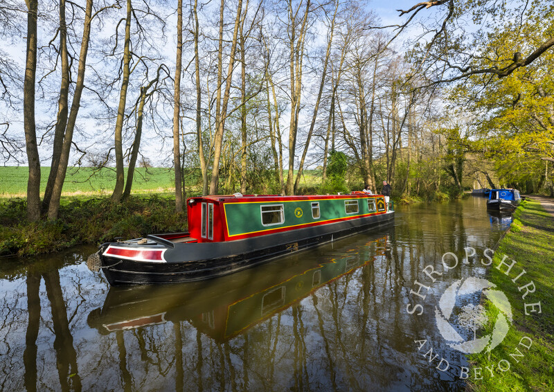 Narrowboat on the Llangollen Canal, near Ellesmere, Shropshire.