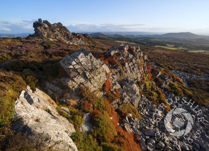 Evening light on the Stiperstones, Shropshire