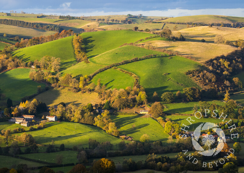 Evening light on Offa's Dyke Path near Newcastle on Clun, Shropshire.