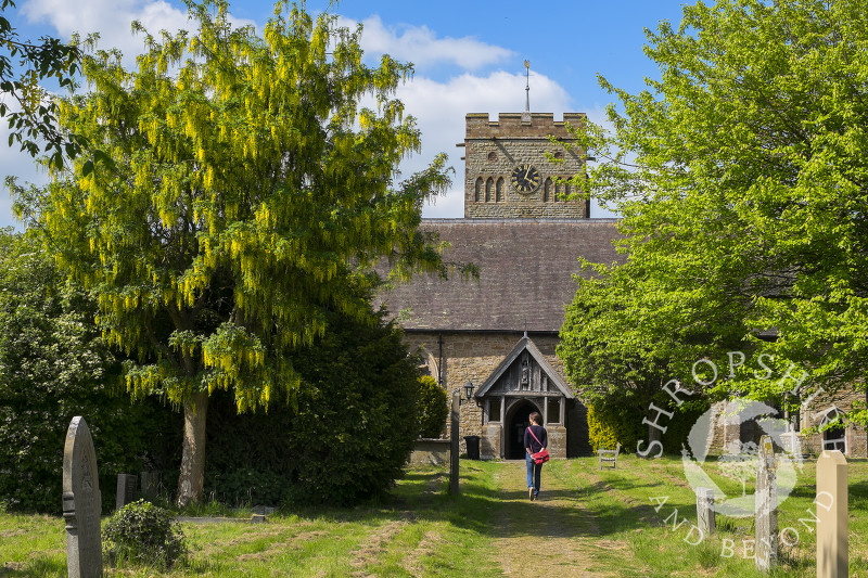 A tree-lined path leads to St Cuthbert's Church in Clungunford, near Craven Arms, Shropshire.
