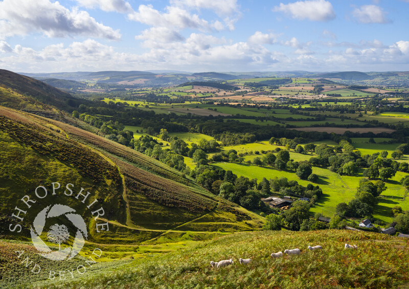 South Shropshire countryside seen from the west side of the Long Mynd, Shropshire.