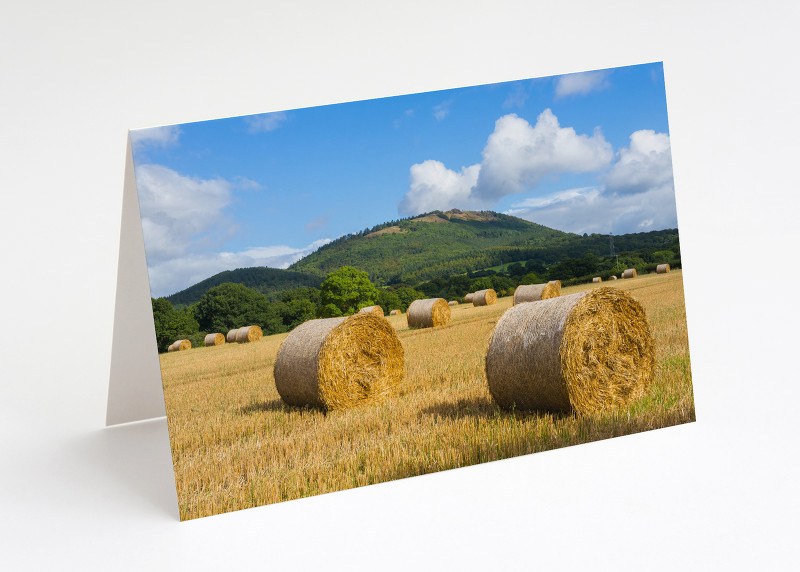 Harvest time beneath the Wrekin,  Shropshire.