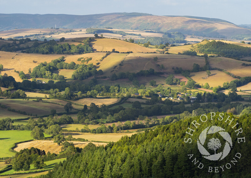 Evening in the Clun Valley near Newcastle on Clun, with Oakeley Mynd and the Long Mynd on the horizon, Shropshire.