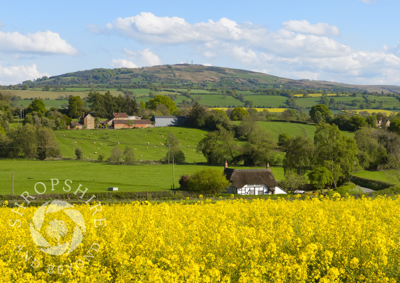 Thatched cottage at Shipton, beneath Brown Clee, Shropshire.