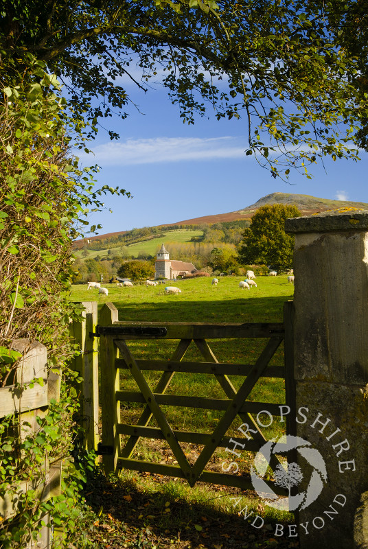 Looking over a gate towards the church of St Mary and Titterstone Clee Hill, Bitterley, Shropshire, England.