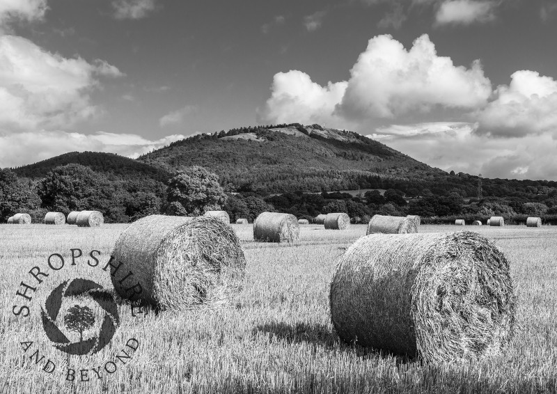 Harvest time beneath the Wrekin in Shropshire.