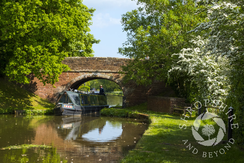 Narrowboat on the Shropshire Union Canal near Goldstone Wharf, Cheswardine, Shropshire.