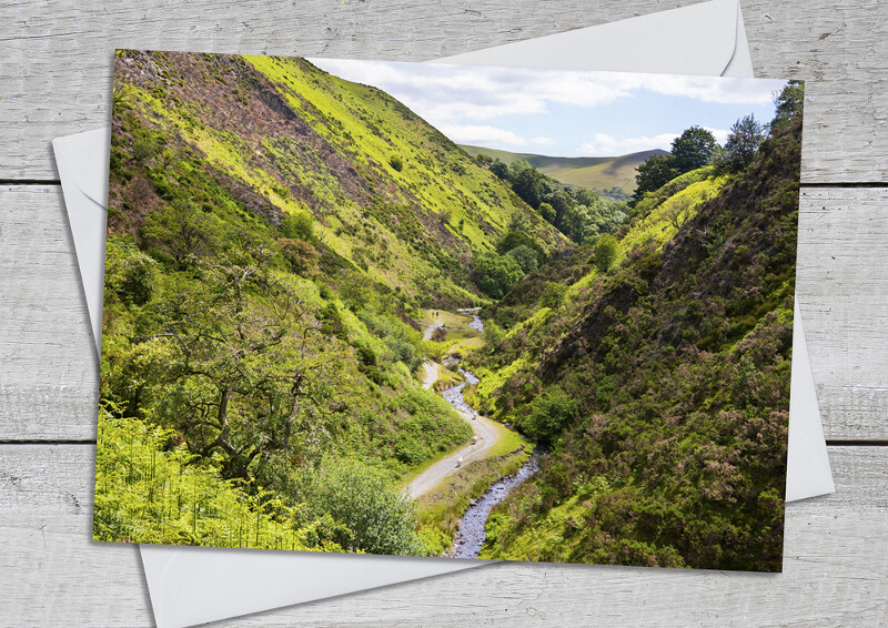 Ashes Hollow near Little Stretton, Shropshire.