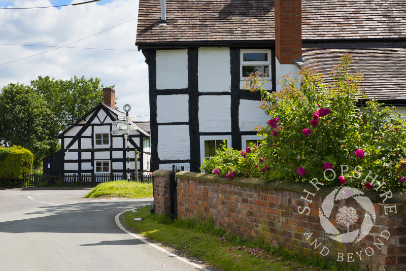 Black and white houses in the village of Upton Magna, near Shrewsbury, Shropshire, England.