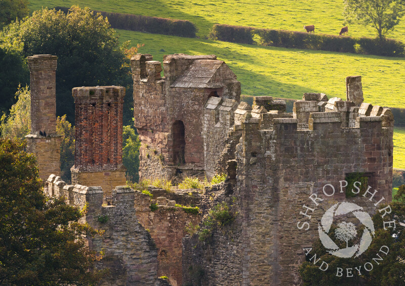 Ludlow Castle seen from the tower of St Laurence's Church, Ludlow, Shropshire.