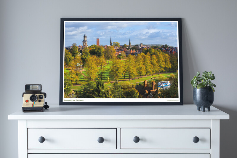 Shrewsbury and the Quarry - Poster