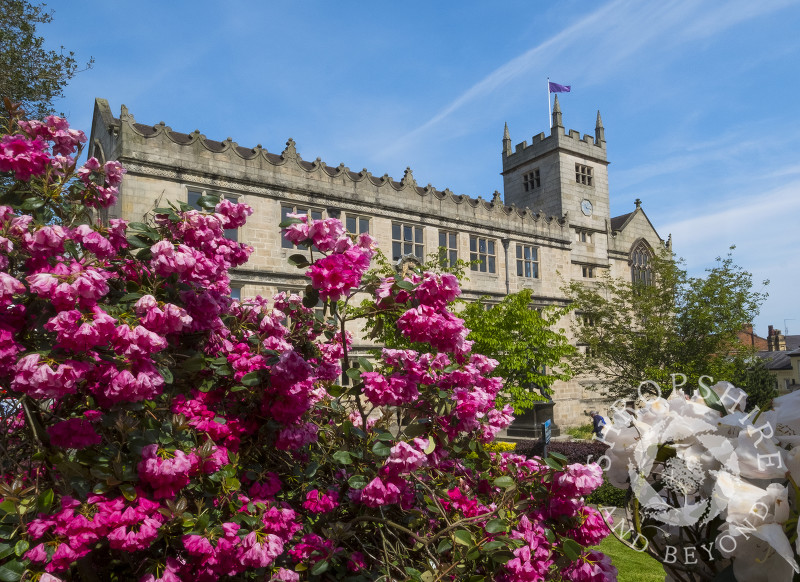 Shrewsbury Library, Shropshire.