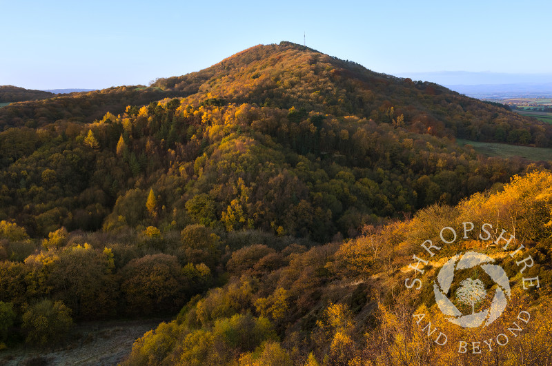 Early morning light on the Wrekin, seen from the Ercall, Shropshire.