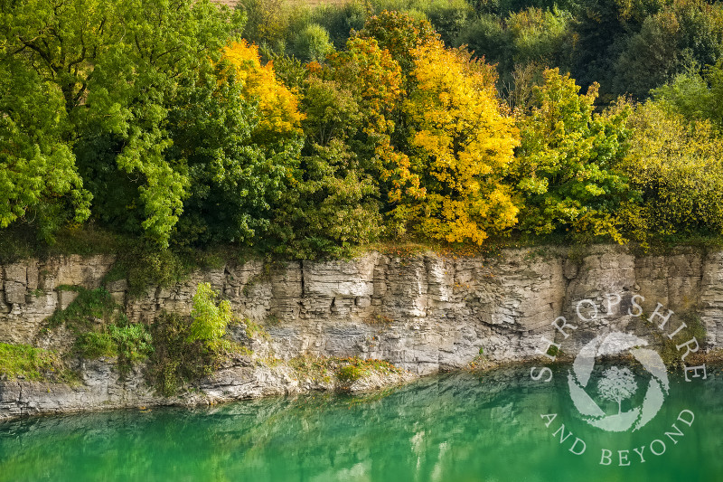 Autumn trees along a limestone cliff above the lagoon at Lea Quarry on Wenlock Edge, Shropshire.