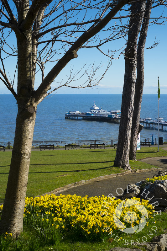 Springtime in Happy Valley Gardens, Llandudno, Wales.