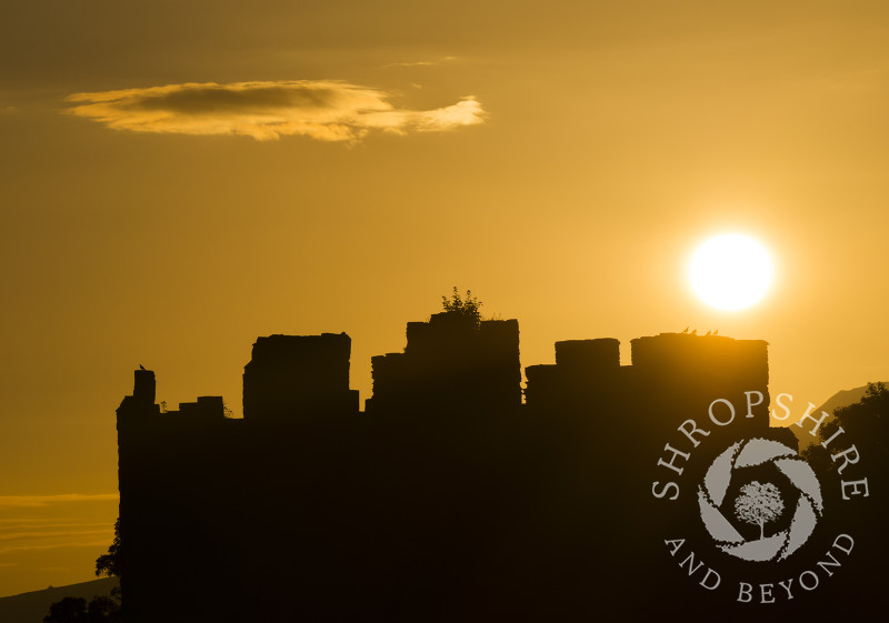 Summer sunrise over Ludlow Castle, Shropshire.