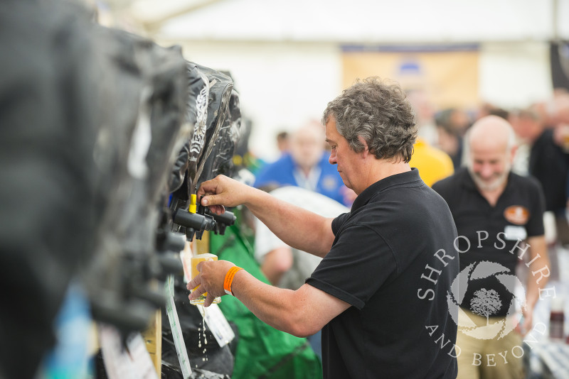 Pouring beer in the Festival Pub at Ludlow Spring Festival.