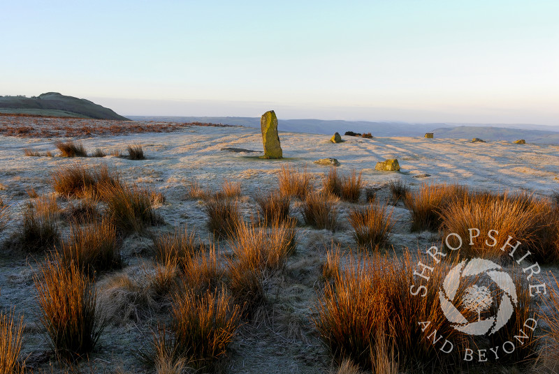 Winter sunrise at Mitchell's Fold stone circle, Stapeley Hill, near Priest Weston, Shropshire.