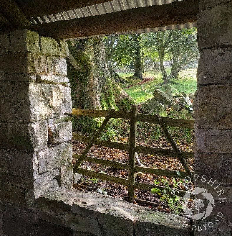 Looking through a barn window at Blakemoorgate cottages on the Stiperstones National Nature Reserve, near Snailbeach, Shropshire.