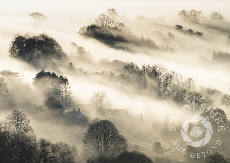 A lone house in the mist on Clee Liberty Common, Brown Clee, Shropshire.
