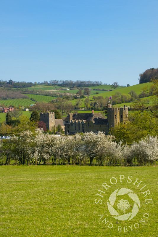 Spring blossom at Stokesay Castle, Shropshire.