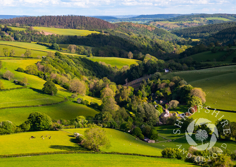 The hamlet of Obley, seen from Black Hill in the Clun Valley, Shropshire.