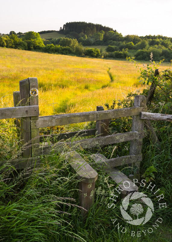 A footpath leading to Ganderbeach in south Shropshire.