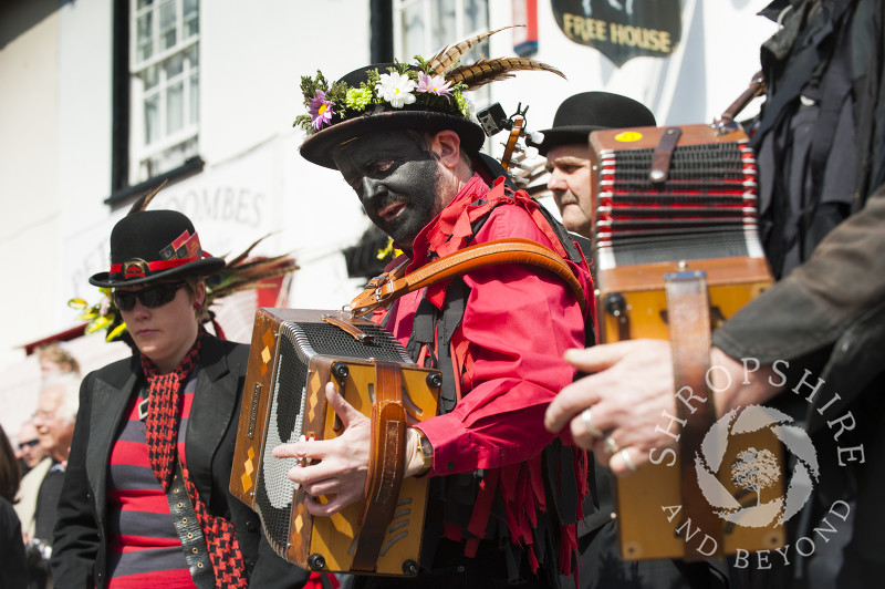 Ironmen and Severn Gilders morris dancers at the Green Man Festival, Clun, Shropshire.