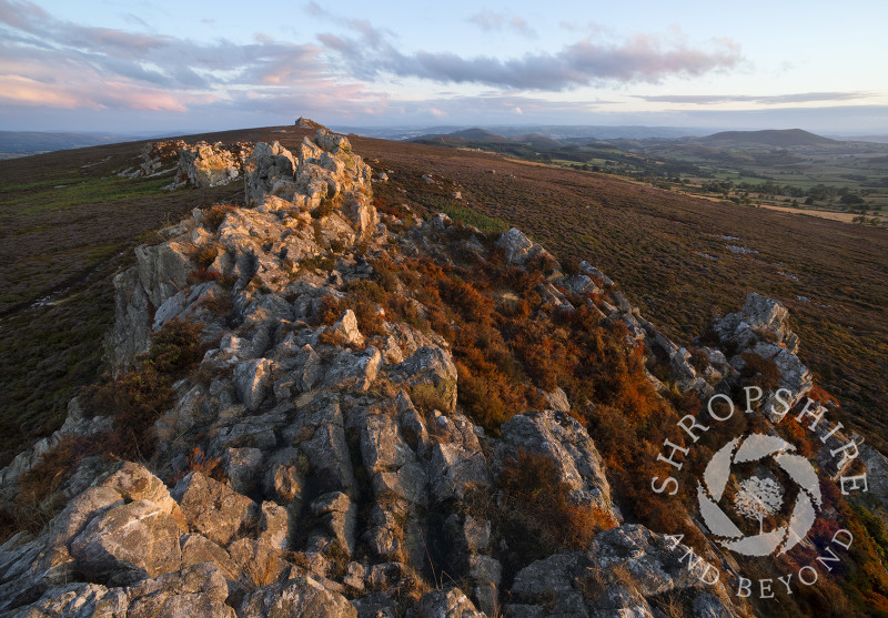 Evening light on the Devil's Chair, Stiperstones, Shropshire.