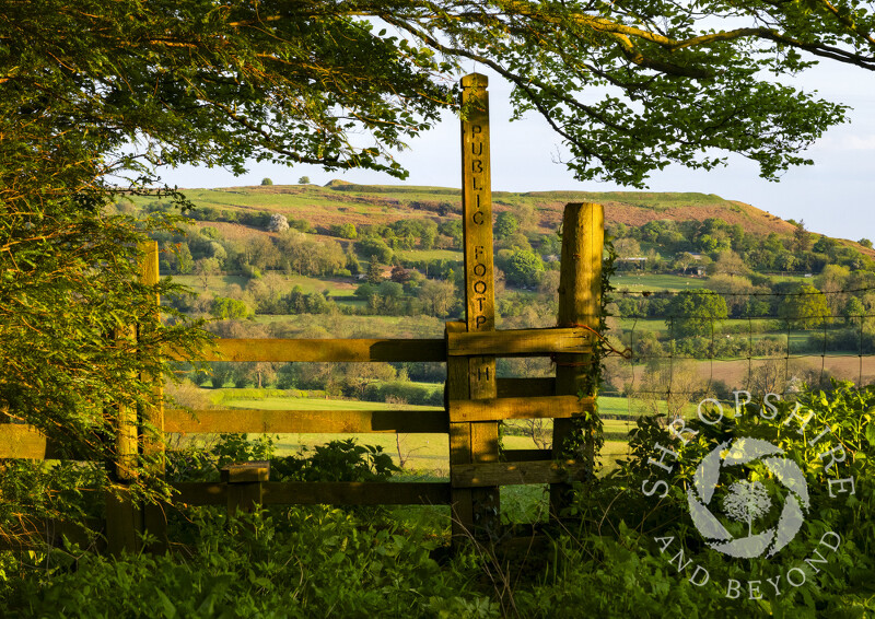 Evening light on a stile at Abdon, looking to Nordy Bank, Shropshire.