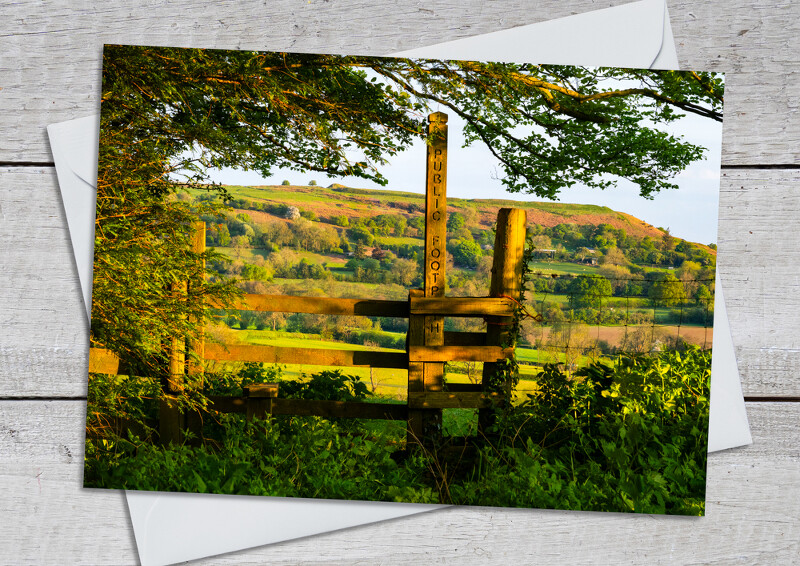 Footpath at Abdon leading to Nordy Bank hill fort
on Brown Clee, Shropshire.