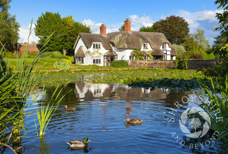 Thatched cottage reflected in the village pool at Badger, Shropshire, England.