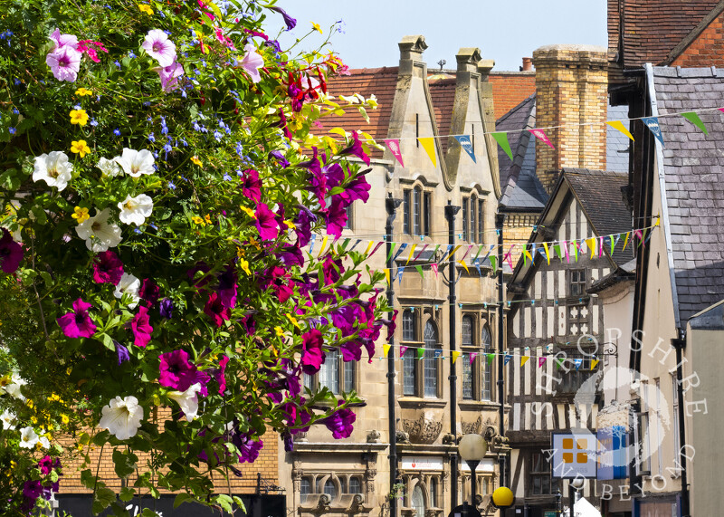 Summer flowers in Church Street, Oswestry, Shropshire.