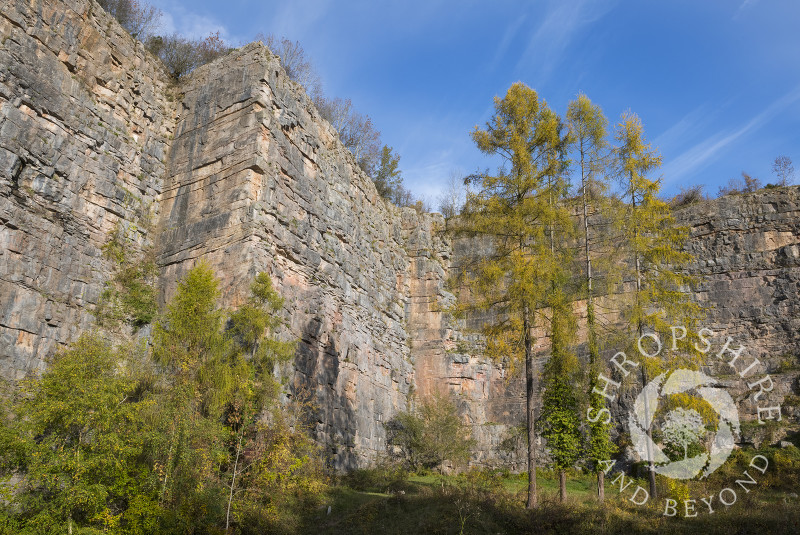 Llanymynech Rocks Nature Reserve, on the English/Welsh border, near Oswestry.