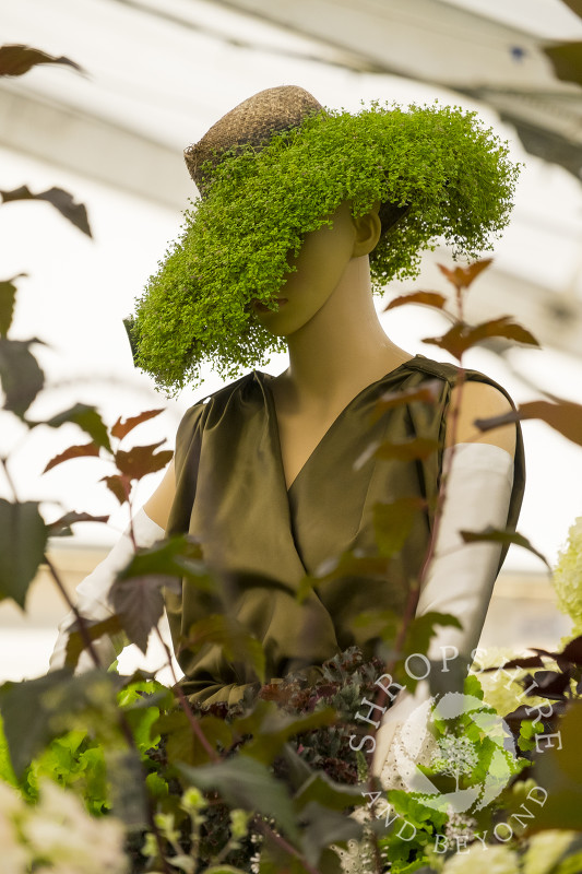Cool elegance on the Newent Plant Centre display at Shrewsbury Flower Show, Shropshire.