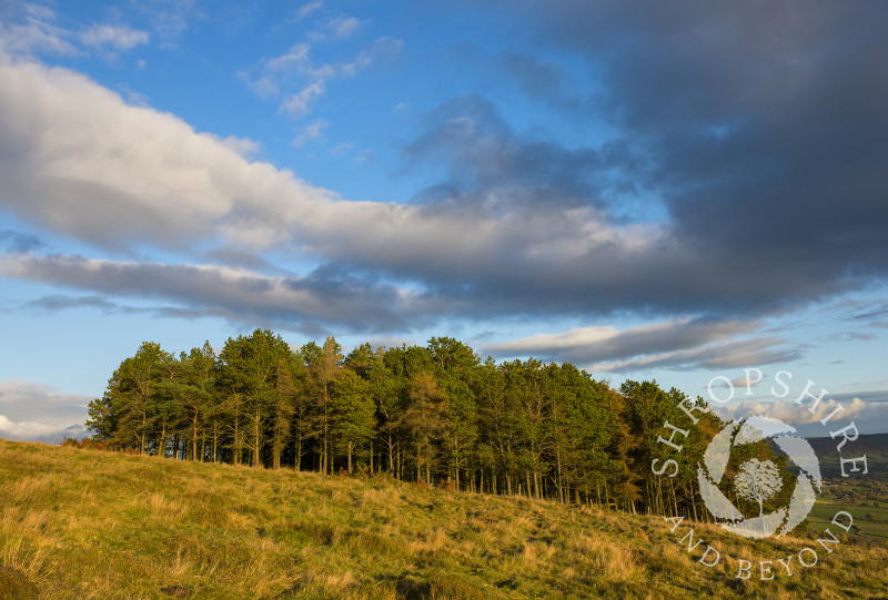 Claire's Ring on Heath Mynd, near Bishop's Castle, Shropshire.