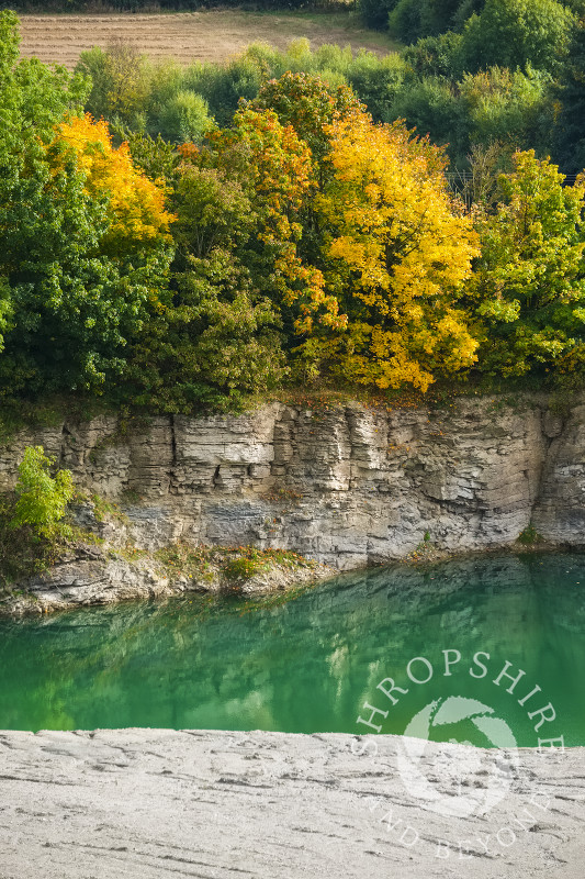 Autumn trees along a limestone cliff above the lagoon at Lea Quarry on Wenlock Edge, Shropshire.