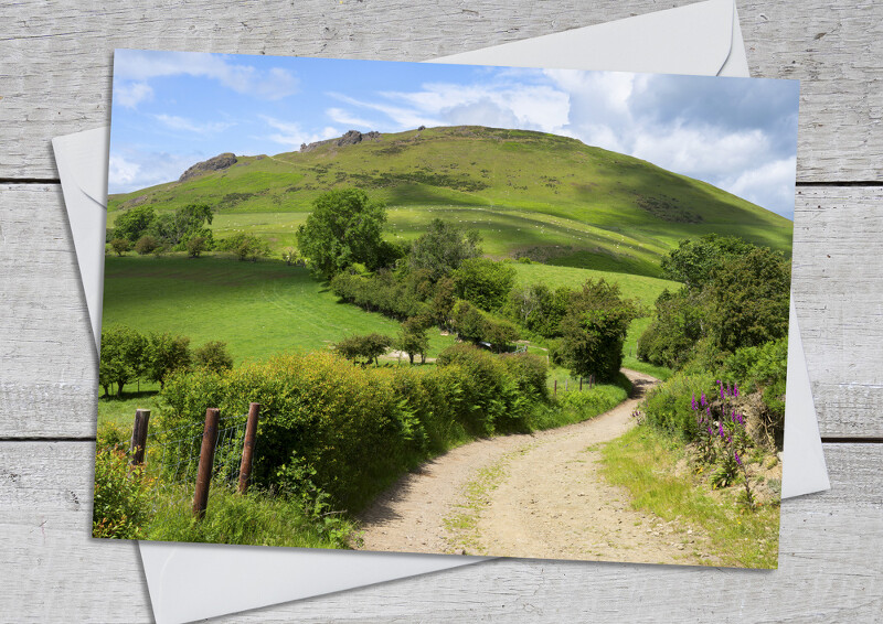 Winding path leading to Caer Caradoc, near Church Stretton, Shropshire.