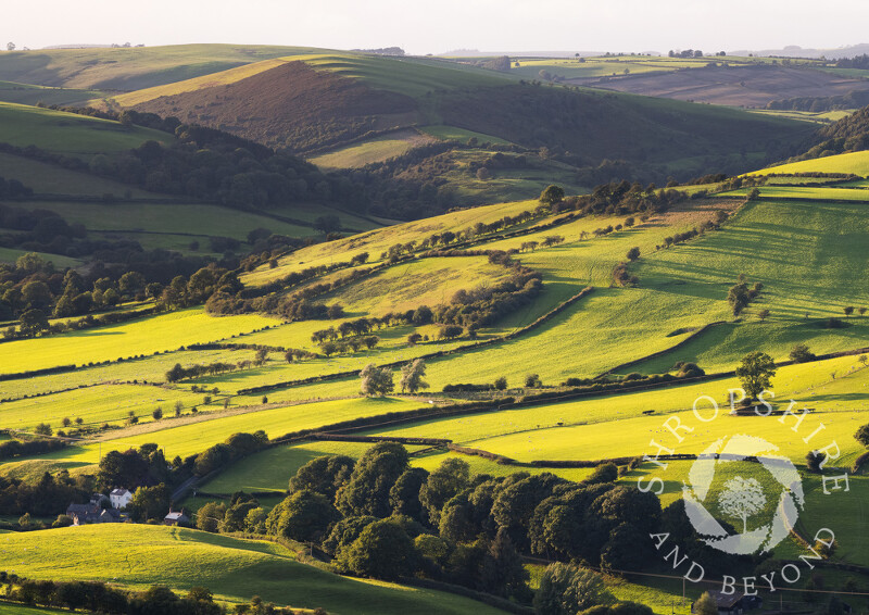 Evening light on the Redlake Valley, south Shropshire.