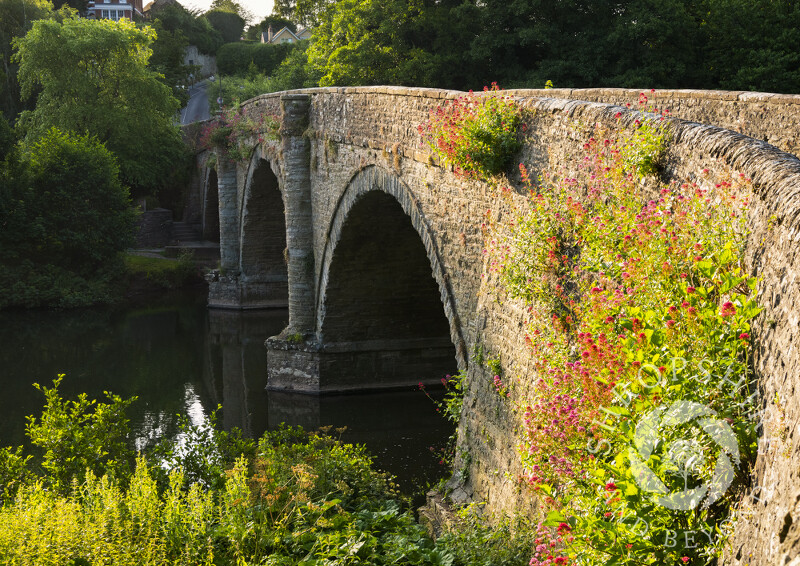 Early morning at Dinham Bridge, Ludlow, Shropshire.