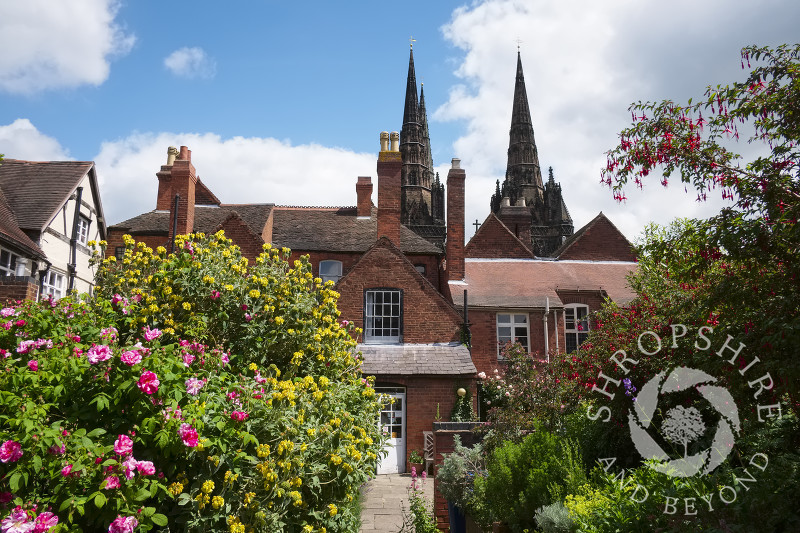 The herb garden at Erasmus Darwin House in the shadow of Lichfield Cathedral, Staffordshire, England.