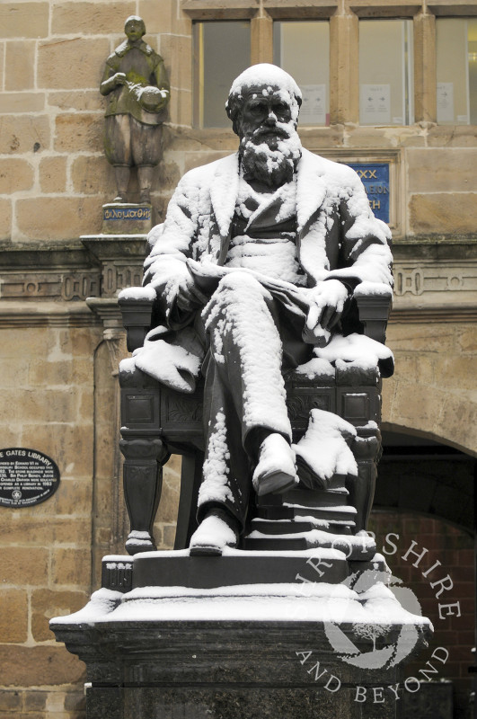Snow covers the Charles Darwin statue outside Shrewsbury Library, Shropshire, England.