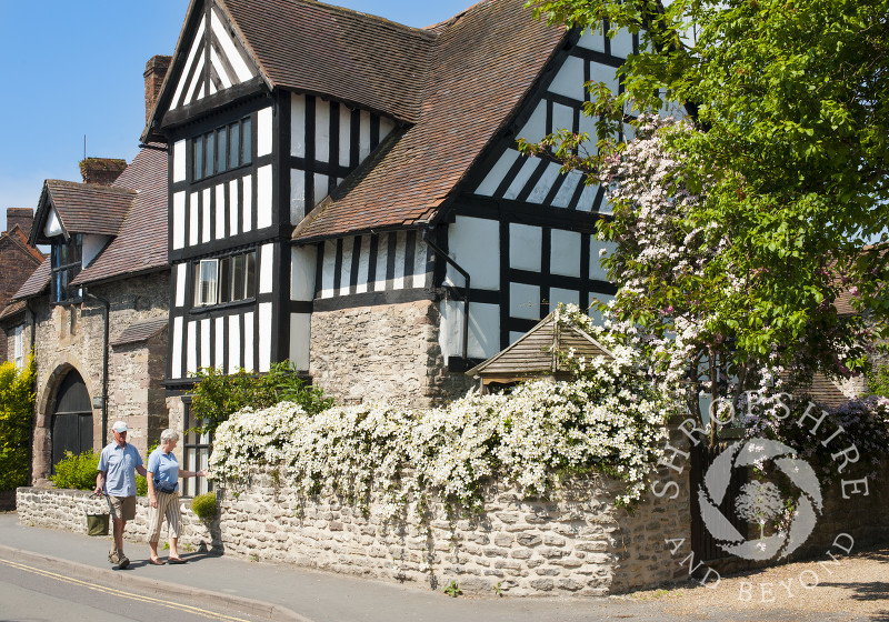 Spring flowers outside a half-timbered house in Much Wenlock, Shropshire, England.