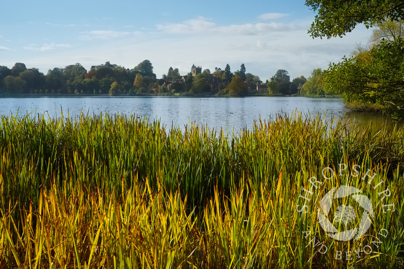 Looking across the Mere towards St Mary's Church at Ellesmere, Shropshire, in autumn.